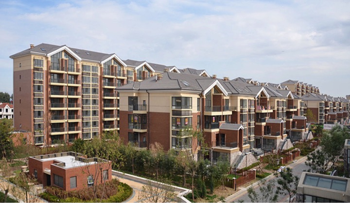 �����֡���ɫ������