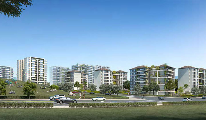 �����֡������ڸ������죩