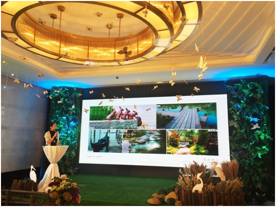 佰利乐听湖小镇项目媒体见面会圆满乐成 佰利乐听湖小镇项目媒体见面会圆满乐成