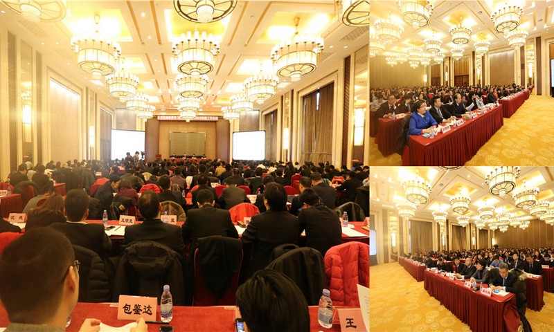 ��˶����������������ּ���2017������鼯��