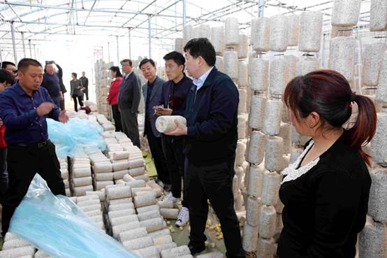 西城区领导一行赴阜平考察工业帮扶项目 西城区领导一行赴阜平考察工业帮扶项目