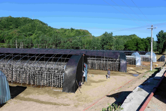 �����ּ��Ž�԰���ĳ���ׯ��󰶵״�ľ����ҵ��Ŀ����