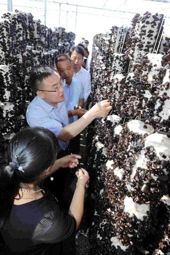 ¬ӳ��������Ե���ֲ�����м���ľ����ժ����